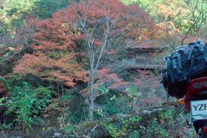 【YZF-R6】秋の紅葉&温泉ツーリング！奈良県の大台ケ原と天川村、みたらい渓谷へ山道満喫ルート