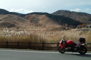 【YZF-R6】ススキの大海原で金色の野に降り立つ！兵庫県の砥峰高原へツーリング