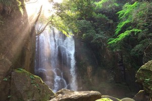 【旅行】紀伊半島３県の美しい自然を観光する奈良・三重・和歌山【レポート】